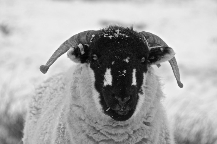 8396313648_7bcc912266_o